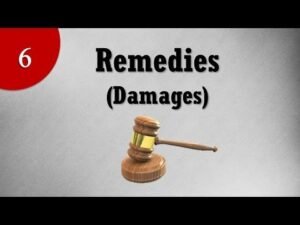 Remedy & Damages under Law of Torts:- Our Legal World Law Notes Judiciary Notes