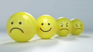 Interpreting Emojis in Legal Battles: A Case Study